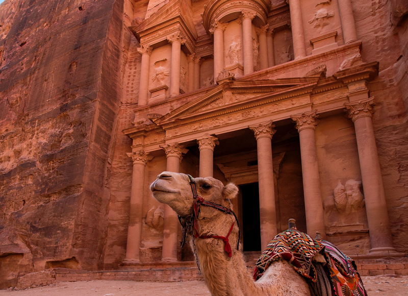 καμήλα-πέτρα-ιορδανία