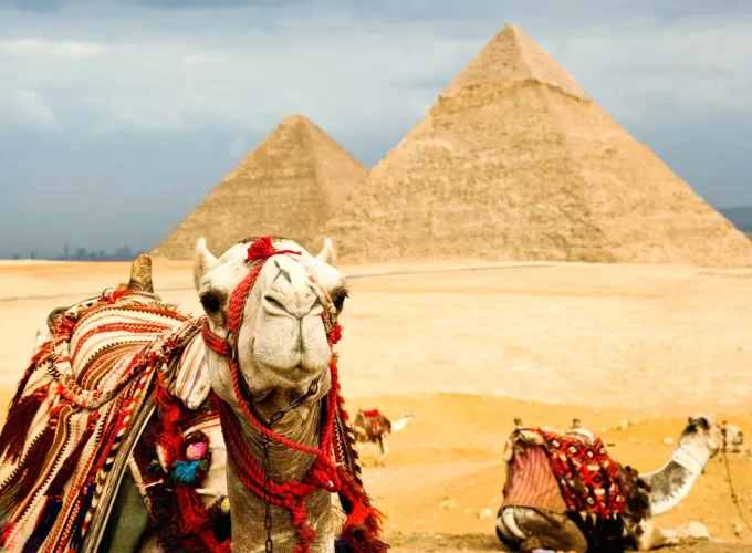 Ταξίδι στην Αίγυπτο, Κρουαζιέρα στον Νείλο, Πυραμίδες και καμήλα