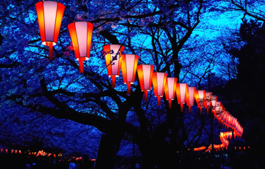 Ιαπωνία – Ανθισμένες Κερασιές, Πάσχα & Αγ.Πνεύματος