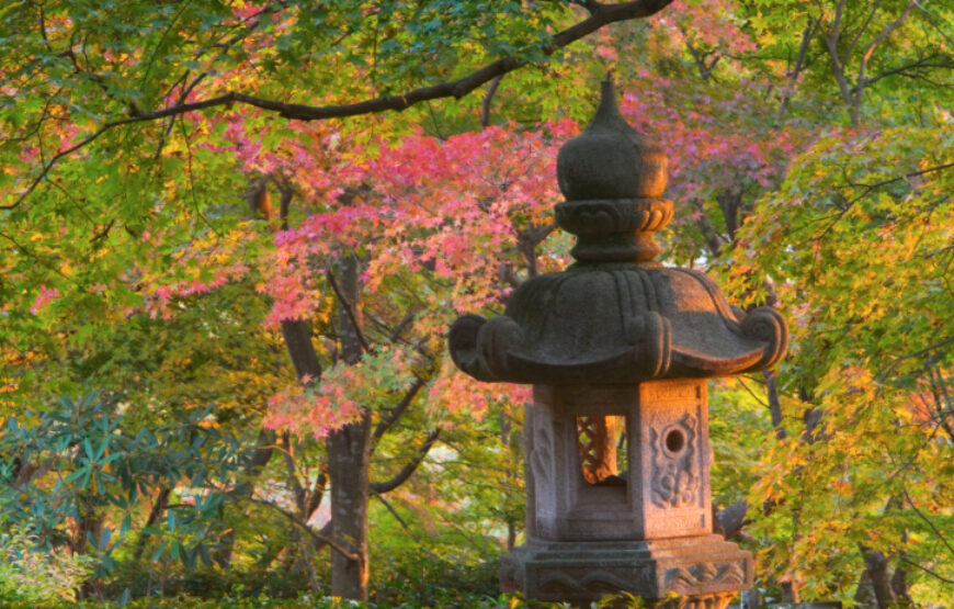 Ιαπωνία – Ανθισμένες Κερασιές, Πάσχα & Αγ.Πνεύματος