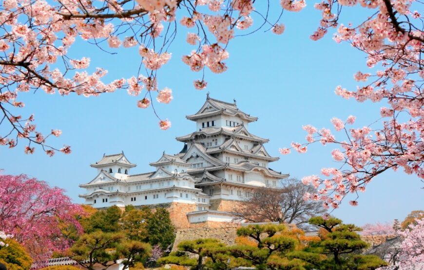 Ιαπωνία – Ανθισμένες Κερασιές, Πάσχα & Αγ.Πνεύματος