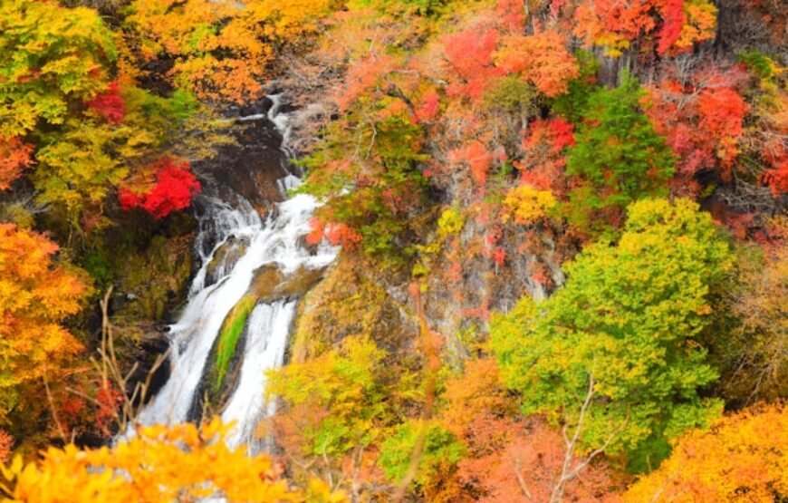 Ιαπωνία – Ανθισμένες Κερασιές, Πάσχα & Αγ.Πνεύματος